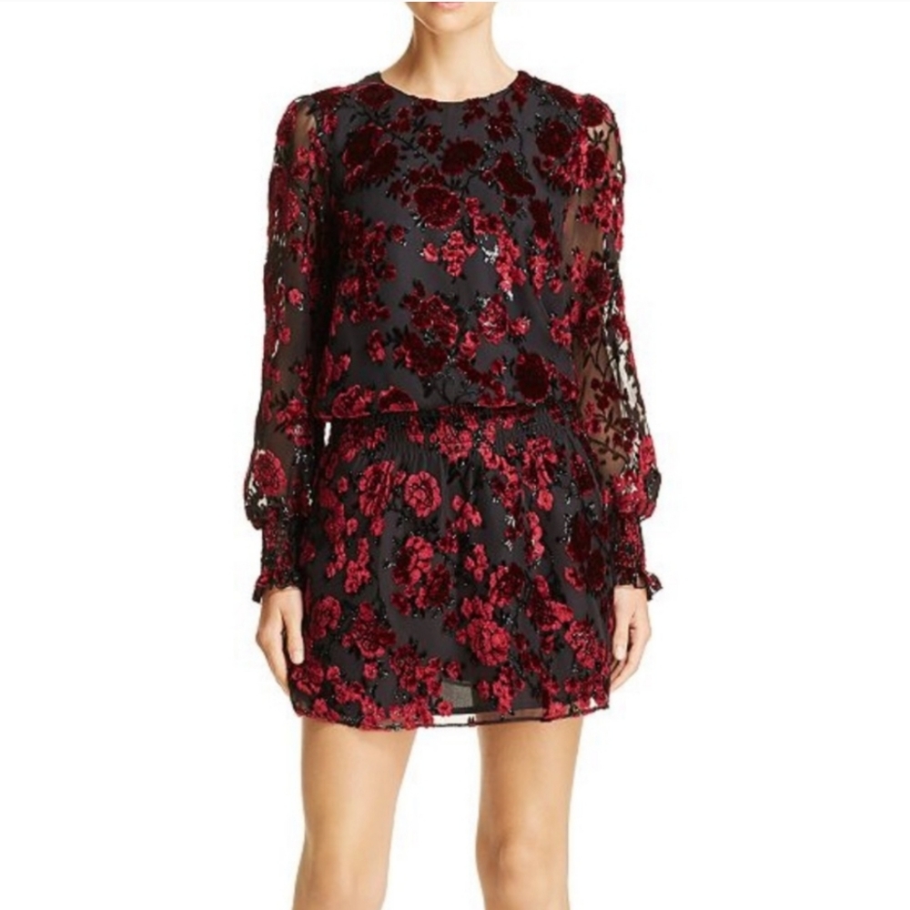PARKER "Carmindy" Smocked Velvet Burnout Dress Sz XXS